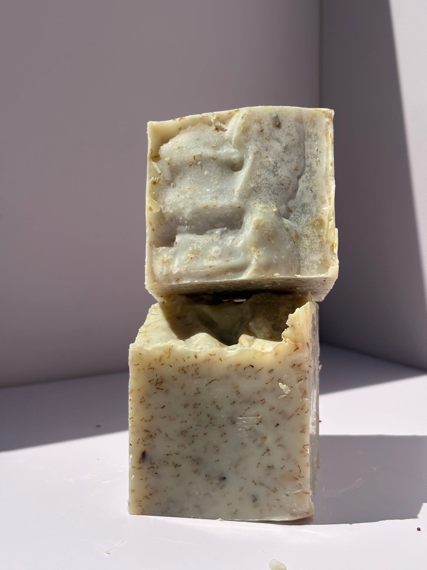 FatBARS
