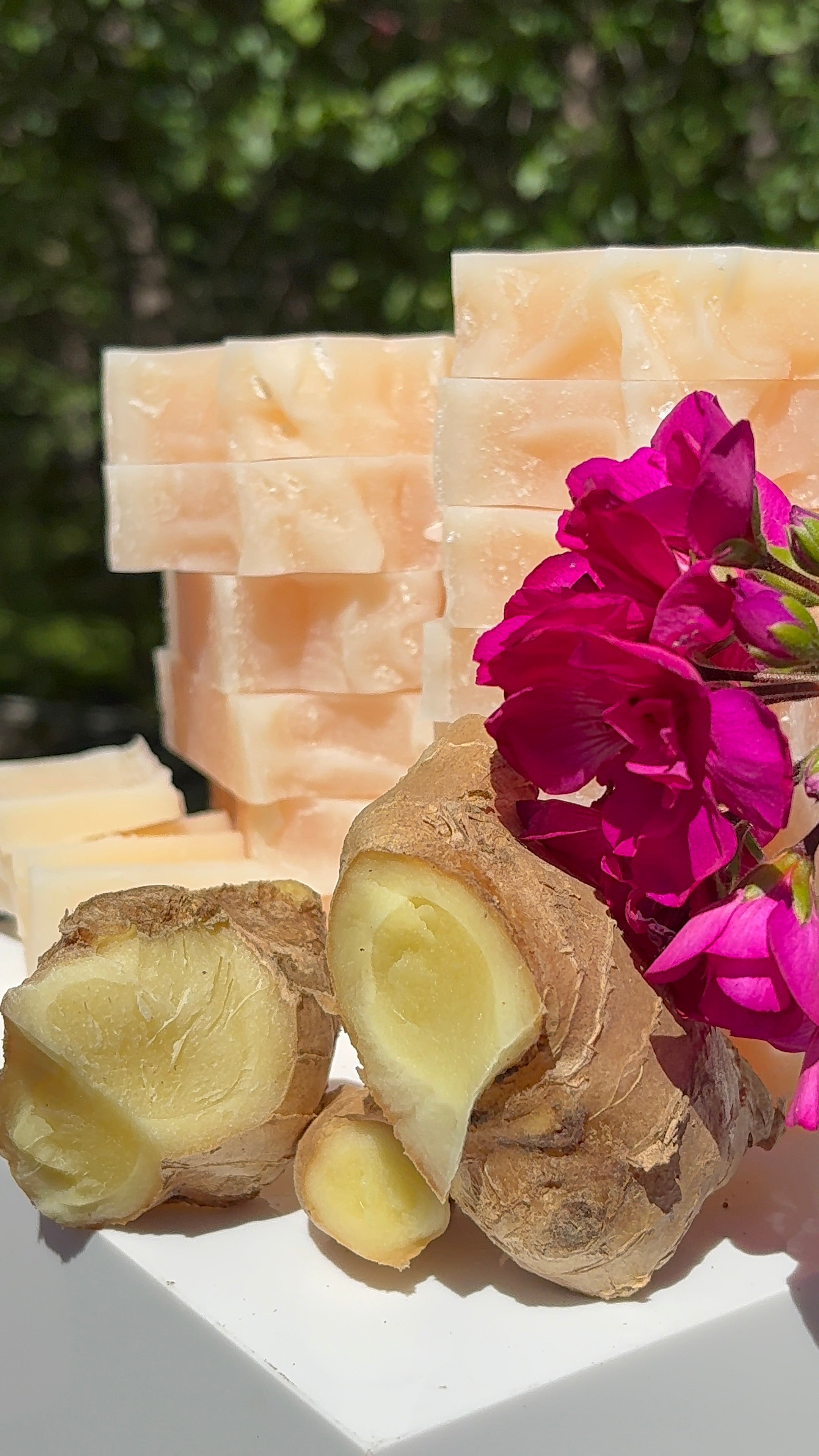 Geranium & Ginger Bars